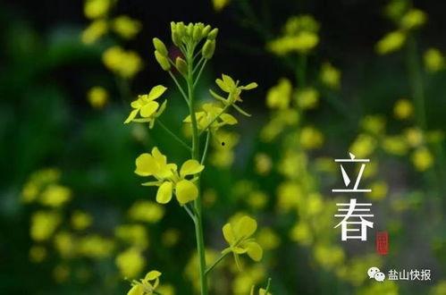 今日立春吃瓜视频大全,盘点今日热门吃瓜视频大全