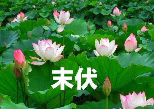 今日立春吃瓜视频大全,盘点今日热门吃瓜视频大全