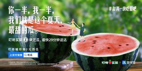 今日宜吃瓜文案,揭秘娱乐圈最新热点事件