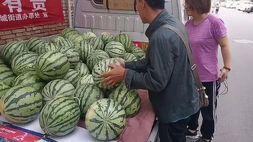 运城今日吃瓜事件,揭秘背后真相与网络舆论风暴