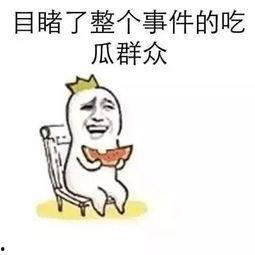 今日份吃瓜宅斗,今日瓜田宅斗风云录