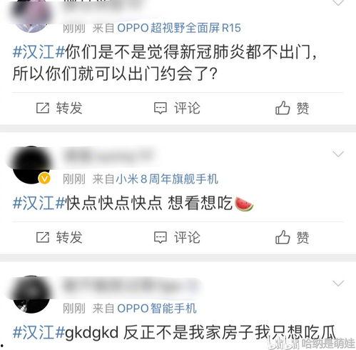 吃瓜合集今日密码,揭秘今日密码背后的热点事件