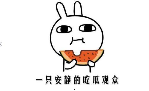 今日吃瓜什么意思,揭秘娱乐圈最新热点事件