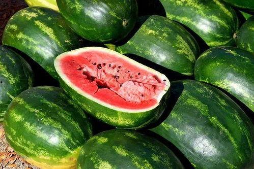 今日吃瓜的新鲜事,娱乐圈最新爆料，揭秘明星幕后故事