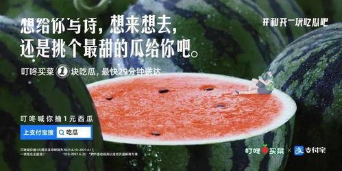 今日吃瓜文案图片大全集,图文并茂的娱乐圈新鲜事大盘点