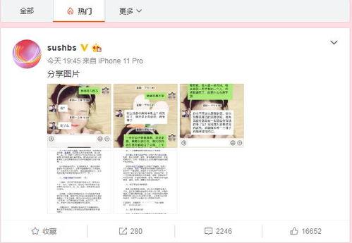 河北今日吃瓜新闻直播,吃瓜新闻直播盘点，一网打尽本地新鲜事