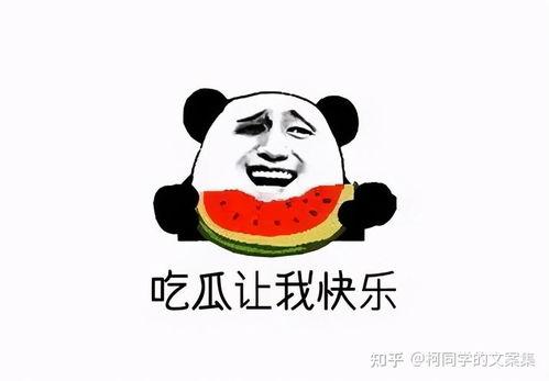今日吃瓜文案图片搞笑,吃瓜群众欢乐无边！
